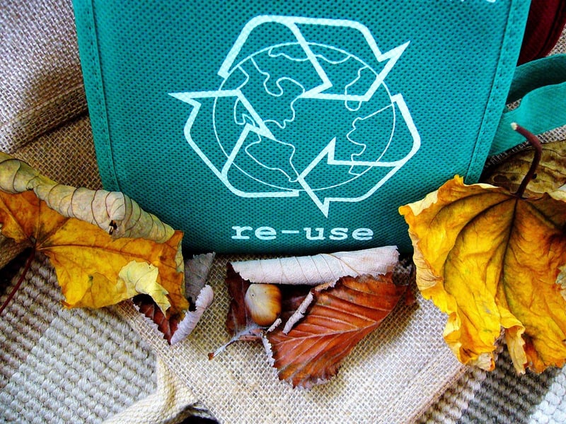 Recycled Art